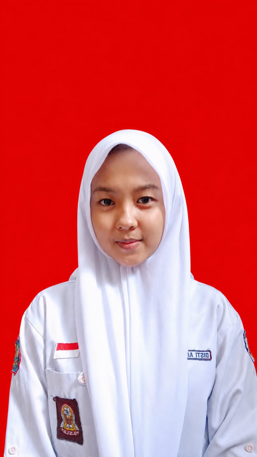 DISTI ANIN DITA